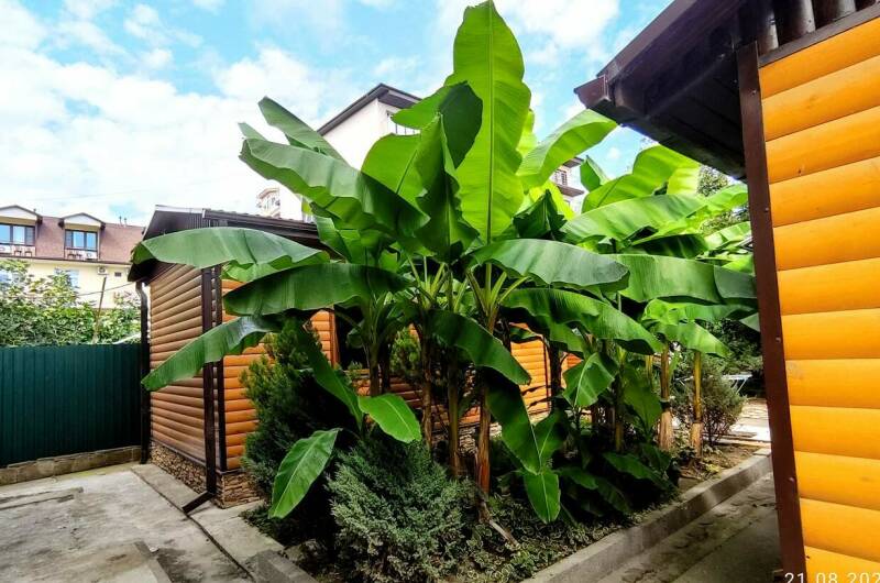 Изображение Изображение гостиницы "Частный сектор на Чкалова" #4 #4