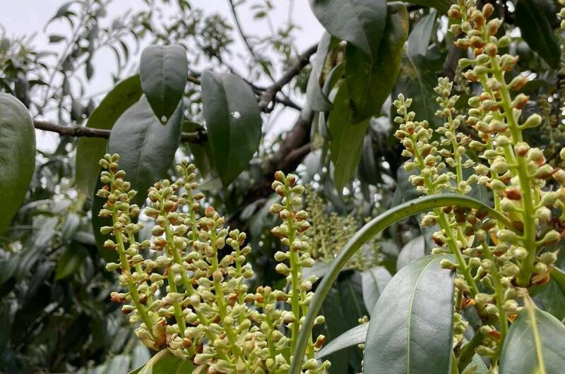 Изображение Изображение квартиры / апартамента "Дом под ключ «Марианна»" #11 #9