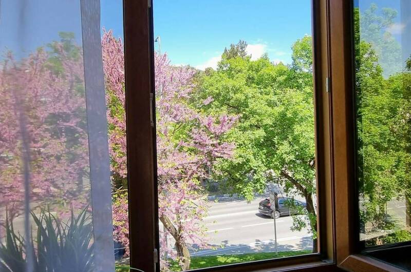 Изображение Изображение гостиницы &quot;Гостевой дом «Радон»&quot; #5 #5