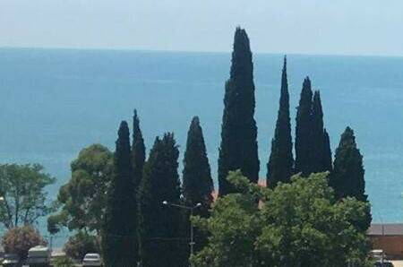 Изображение Изображение гостиницы &quot;Гостевой дом «У Ларисы»&quot; #8 #8