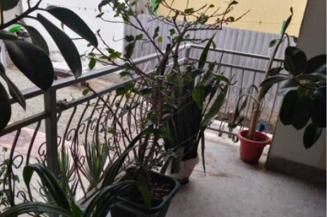 Изображение Изображение гостиницы "Гостевой дом «Елена»" #3 #3