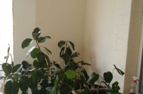 Изображение Изображение гостиницы "Гостевой дом «Елена»" #8 #8