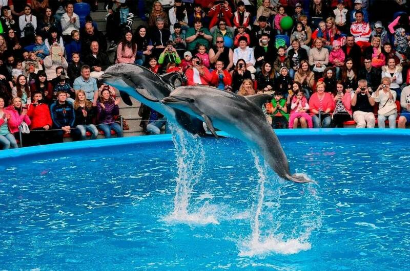 Изображение Изображение гостиницы "Гостевой дом «Русалка»" #6 #6