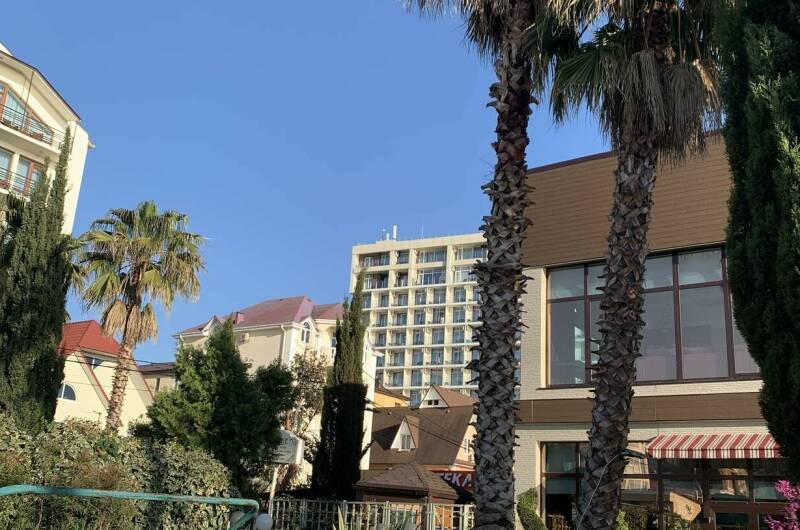 Изображение Изображение квартиры "Квартира студия на Просвещения" #3 #3