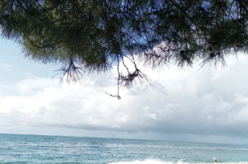 Изображение Изображение гостиницы &quot;Гостевой дом «Leon»&quot; #7 #7