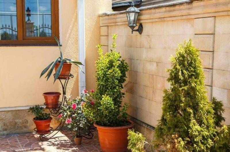 Изображение Изображение гостиницы "Гостевой дом «Сияние»" #4 #4