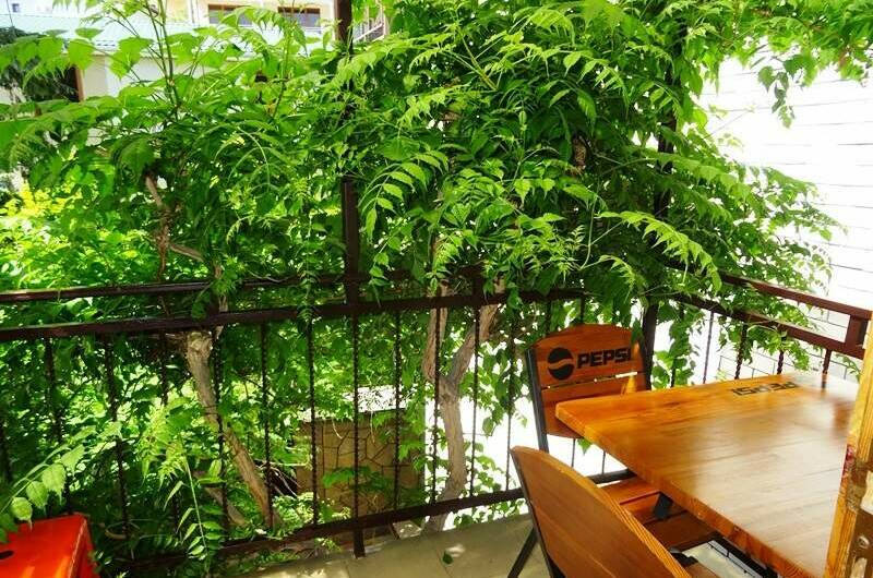 Изображение Изображение гостиницы &quot;Гостевой дом «Виноградная лоза»&quot; #5 #5