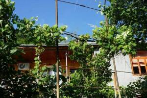 Изображение гостиницы "Гостевой дом «У Игоря»"