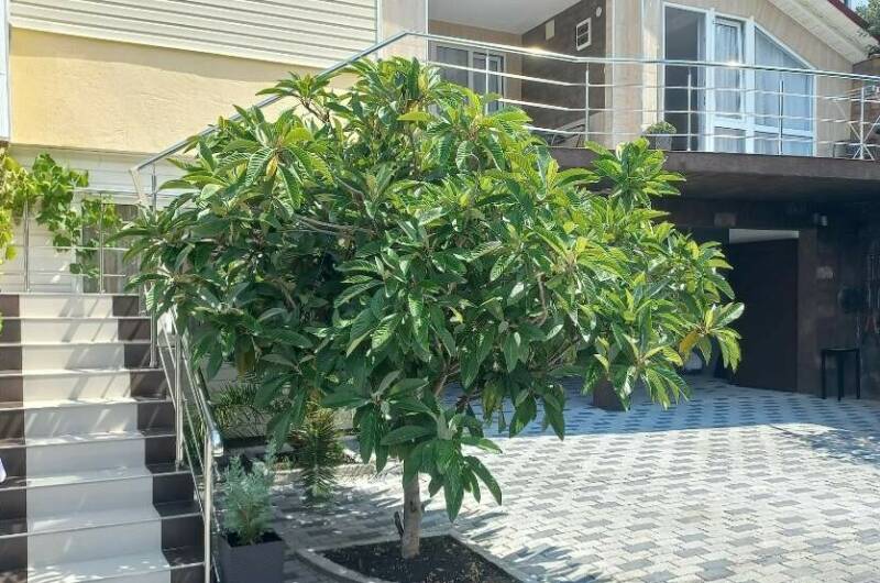 Изображение Изображение гостиницы &quot;Гостиный дом «Семейный»&quot; #3 #3