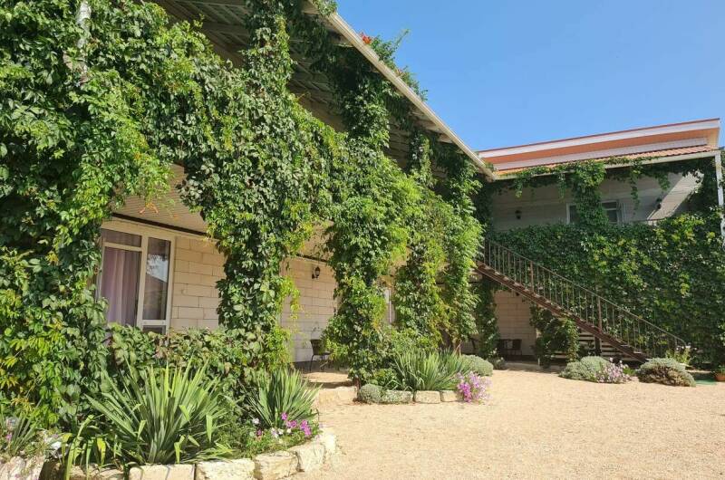 Изображение Изображение отеля / гостиницы "Гостевой дом «Должанская Курячи»" #1 #1