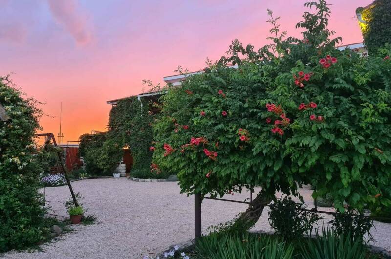 Изображение Изображение отеля / гостиницы "Гостевой дом «Должанская Курячи»" #7 #7