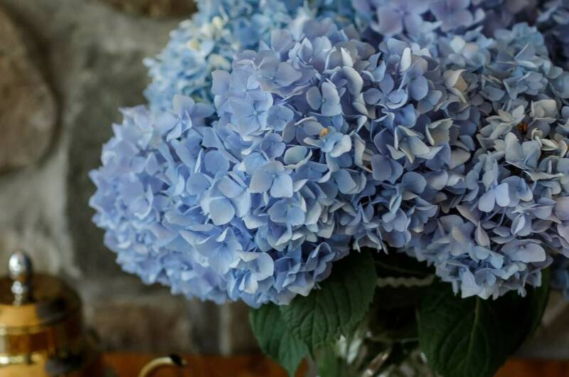 Изображение Изображение гостиницы &quot;Гостевой дом «Ласточкино гнездо»&quot; #4 #4