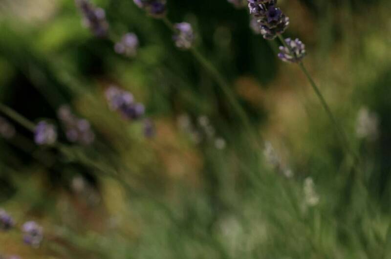 Изображение Изображение гостиницы &quot;Гостевой дом «Ласточкино гнездо»&quot; #5 #5