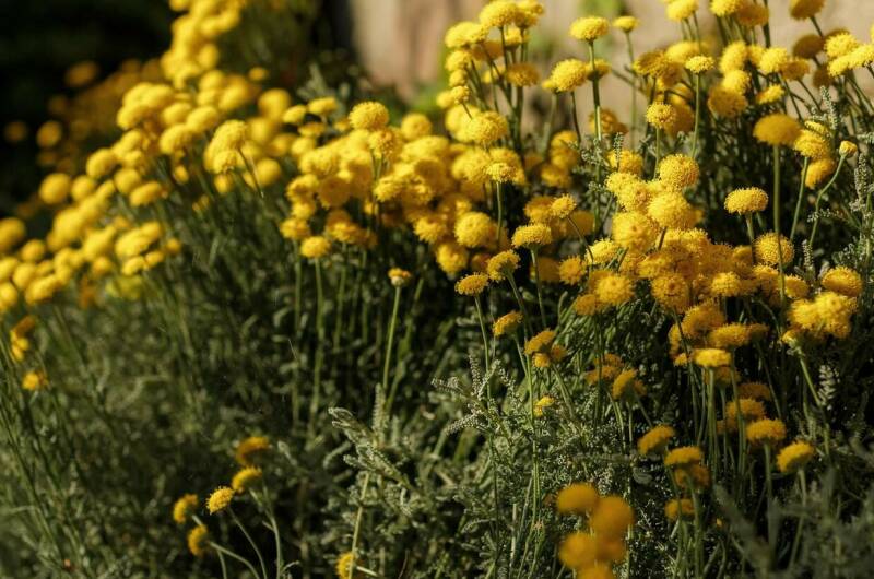 Изображение Изображение гостиницы &quot;Гостевой дом «Ласточкино гнездо»&quot; #6 #6