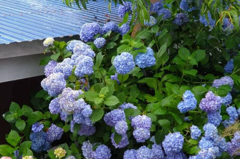 Изображение Изображение отеля / гостиницы "Гостевой дом «Ласточкино гнездо»" #10 #8