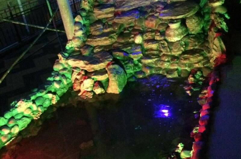 Изображение Изображение гостиницы &quot;Гостевой дом «Шангри-ла»&quot; #8 #8