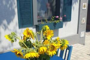 Изображение квартиры / апартамента "Дом под ключ «Дом художника»"