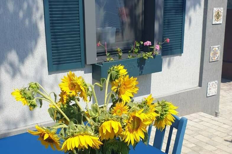 Изображение Изображение квартиры / апартамента "Дом под ключ «Дом художника»" #1 #1