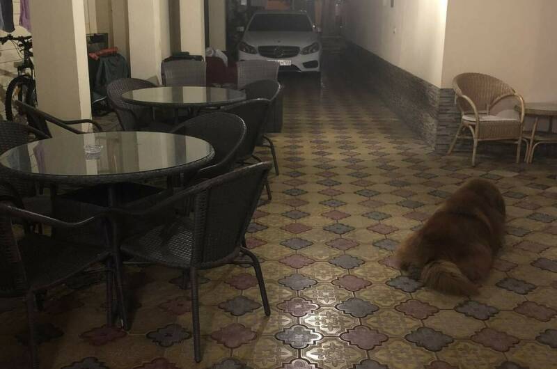 Изображение Изображение гостиницы "Частный дом на Павлика Морозова" #6 #6