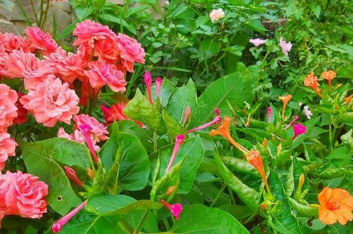 Изображение Изображение гостиницы &quot;Частный сектор «На Тургенева»&quot; #3 #3