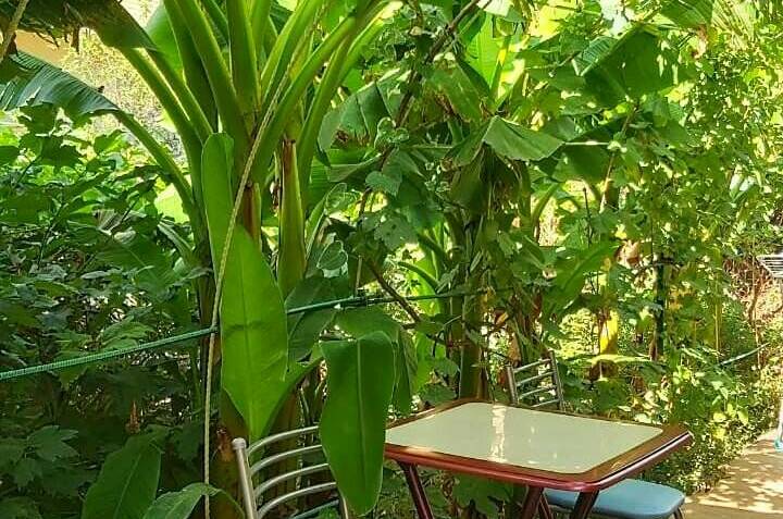 Изображение Изображение гостиницы &quot;Частный сектор «На Тургенева»&quot; #6 #6