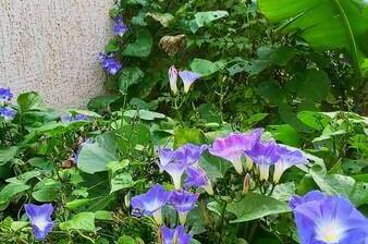 Изображение Изображение гостиницы &quot;Частный сектор «На Тургенева»&quot; #7 #7