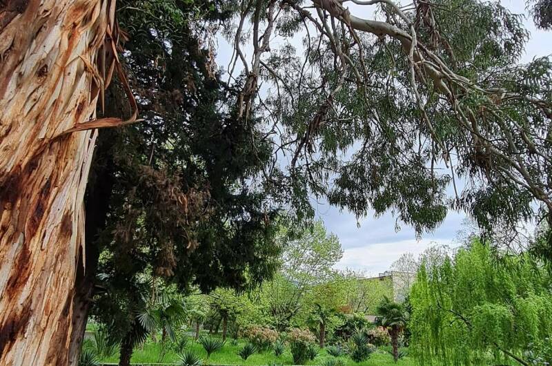 Изображение Изображение гостиницы &quot;Гостевые эко-домики «Бунгало у моря» под ключ&quot; #2 #2