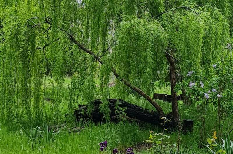 Изображение Изображение гостиницы &quot;Гостевые эко-домики «Бунгало у моря» под ключ&quot; #3 #3