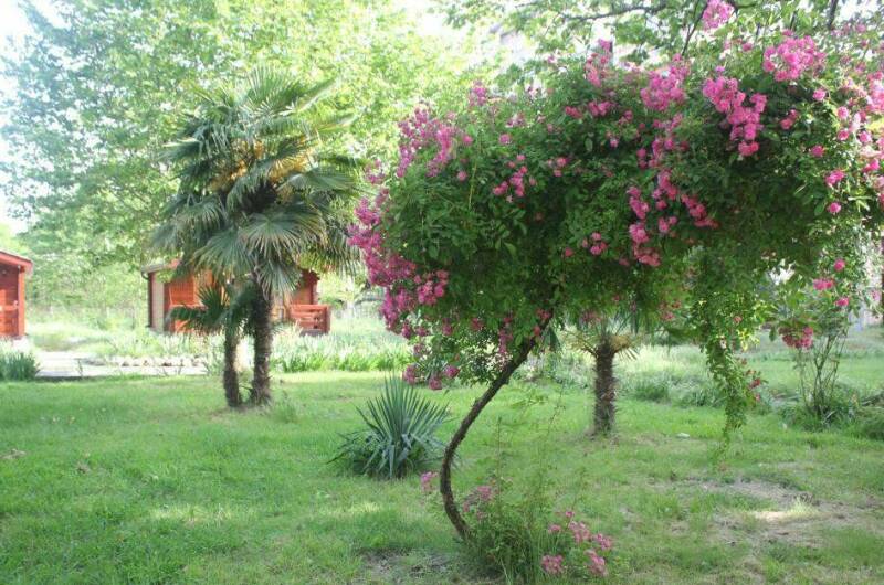 Изображение Изображение гостиницы &quot;Гостевые эко-домики «Бунгало у моря» под ключ&quot; #4 #4