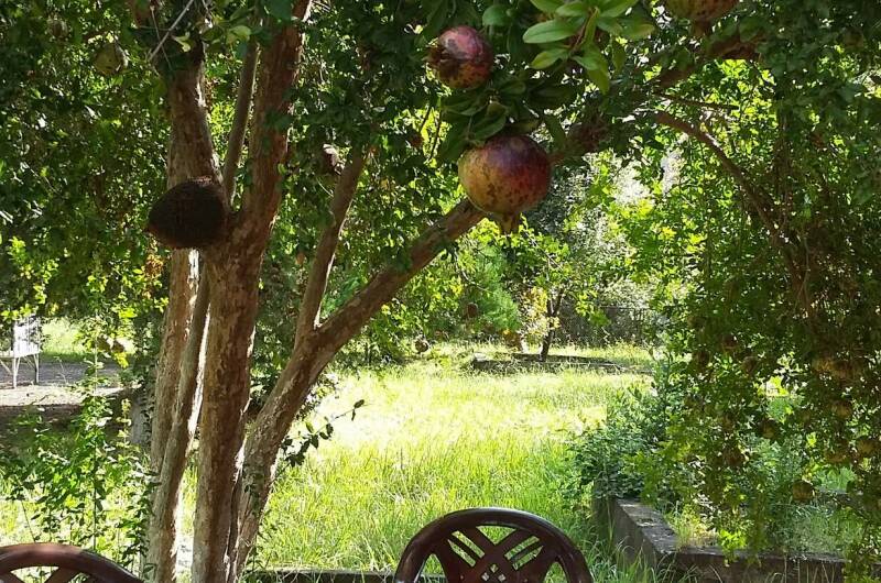 Изображение Изображение гостиницы &quot;Гостевые эко-домики «Бунгало у моря» под ключ&quot; #8 #8