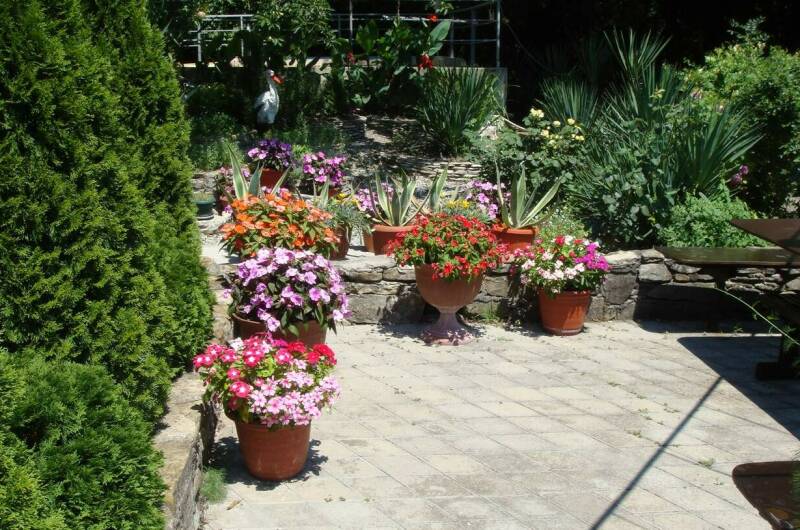 Изображение Изображение гостиницы &quot;Частный сектор «Золотое ущелье»&quot; #3 #3