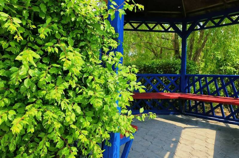 Изображение Изображение отеля / гостиницы "Отель «Южный»" #11 #9