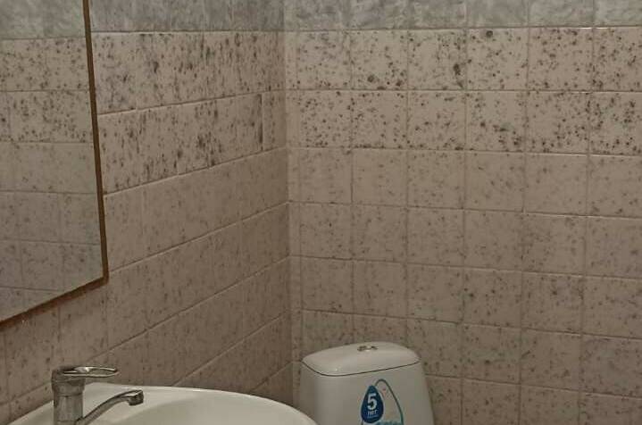 Изображение Изображение отеля / гостиницы "Гостевой дом «Магнолия»" #10 #8