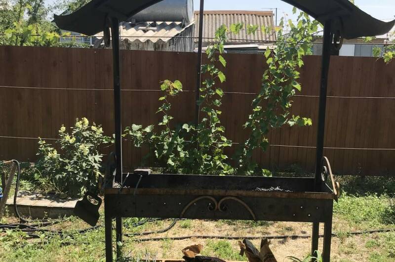 Изображение Изображение отеля / гостиницы "Экодомики на Пушкина 15 «А»" #10 #8