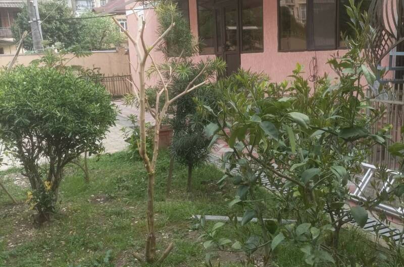 Изображение Изображение отеля / гостиницы "Гостевой дом «Семейный дворик»" #10 #8