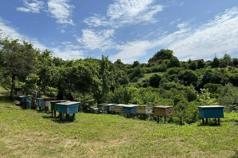 Изображение Изображение гостиницы &quot;Гостевой дом «Ася и Миша»&quot; #3 #3