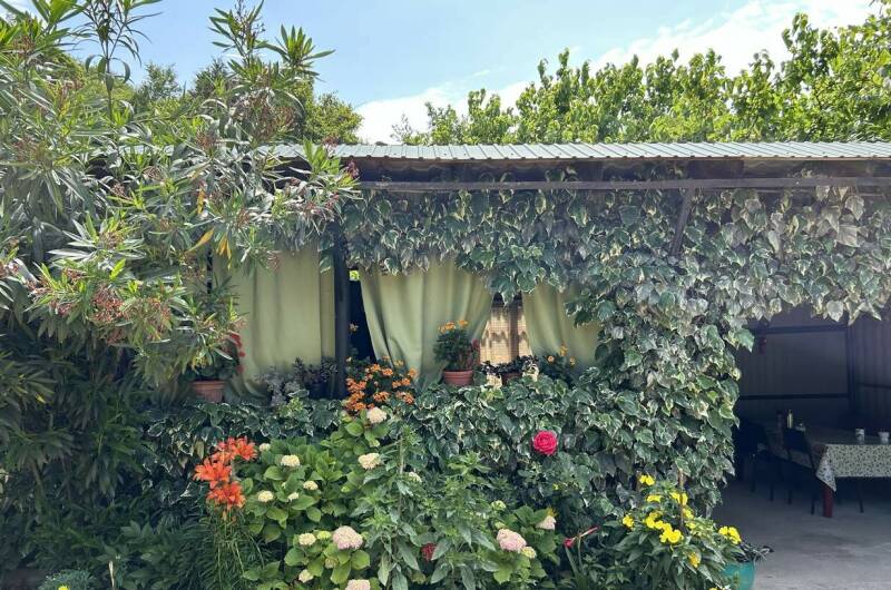 Изображение Изображение отеля / гостиницы "Гостевой дом «Ася и Миша»" #11 #9