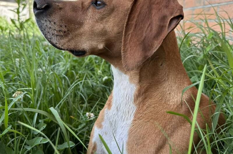 Изображение Изображение отеля / гостиницы "Мини-гостиница «Язон»" #11 #9