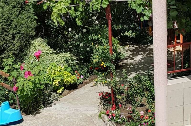 Изображение Изображение отеля / гостиницы "Частный сектор «Черноморский»" #10 #8