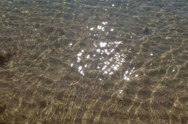 Изображение Изображение отеля / гостиницы "Частный сектор «Черноморский»" #11 #9