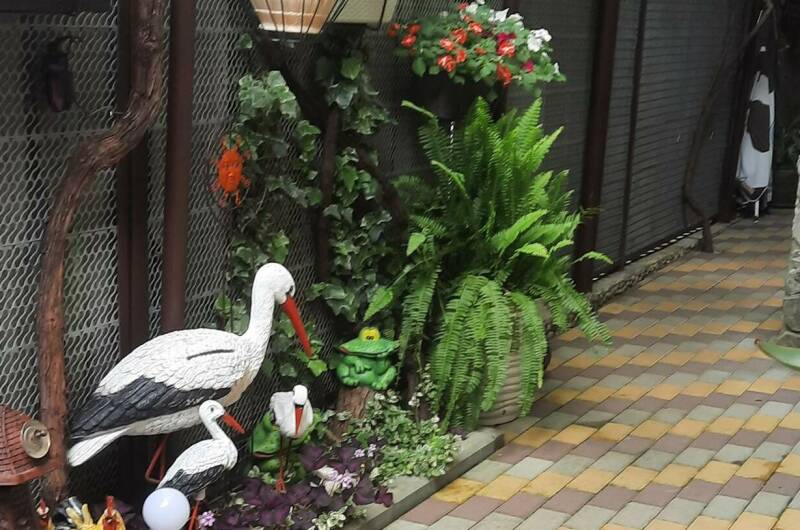 Изображение Изображение гостиницы &quot;Гостевой дом «Бриз»&quot; #7 #7