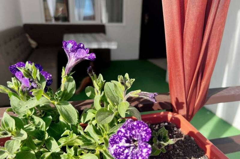 Изображение Изображение гостиницы "Гостевой дом на Школьной" #4 #4