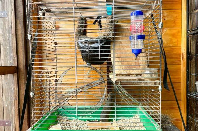 Изображение Изображение гостиницы &quot;Гостевой дом «Волшебная лампа»&quot; #5 #5