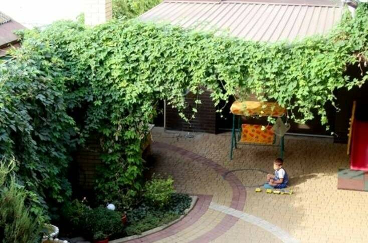 Изображение Изображение гостиницы &quot;Частный сектор «Песчаный берег»&quot; #2 #2