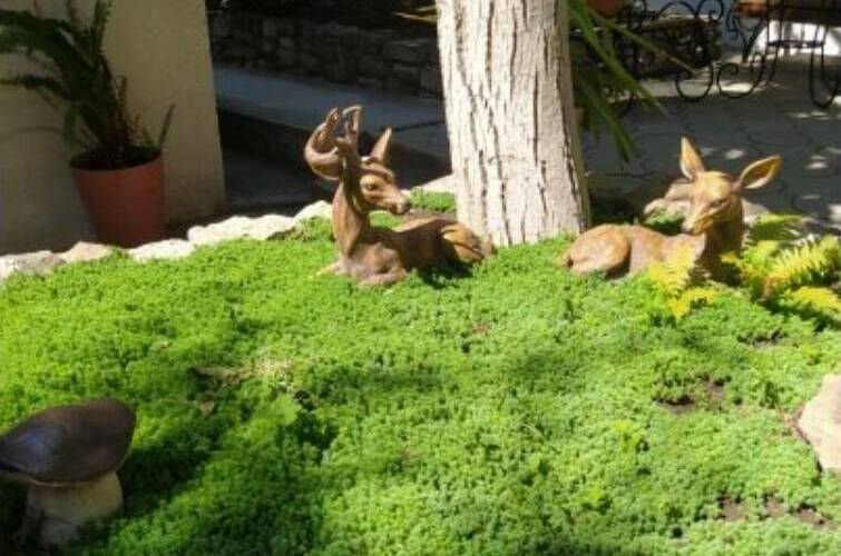 Изображение Изображение гостиницы &quot;Гостевой дом «Домашний уют»&quot; #2 #2