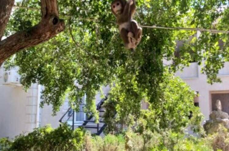 Изображение Изображение гостиницы &quot;Гостевой дом «Домашний уют»&quot; #3 #3