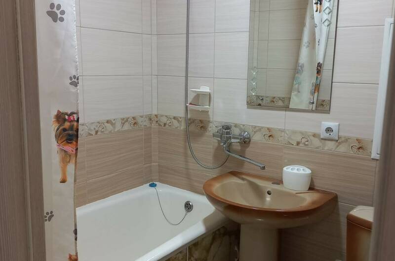 Изображение Изображение квартиры &quot;Однокомнатная квартира&quot; #6 #6