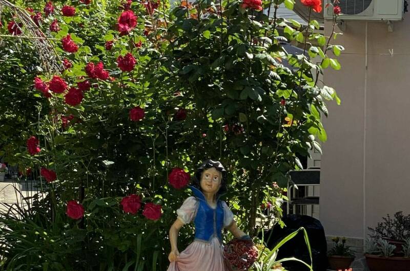 Изображение Изображение отеля / гостиницы "Гостевой дом «Санита-2»" #10 #8