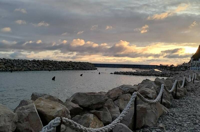 Изображение Изображение квартиры / апартамента "Студия в ЖК «Sun Hills»" #10 #8