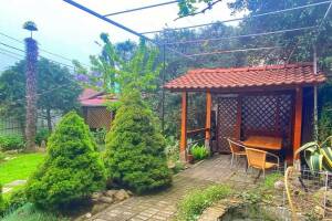 Изображение гостиницы "Гостевой дом «Дача»"